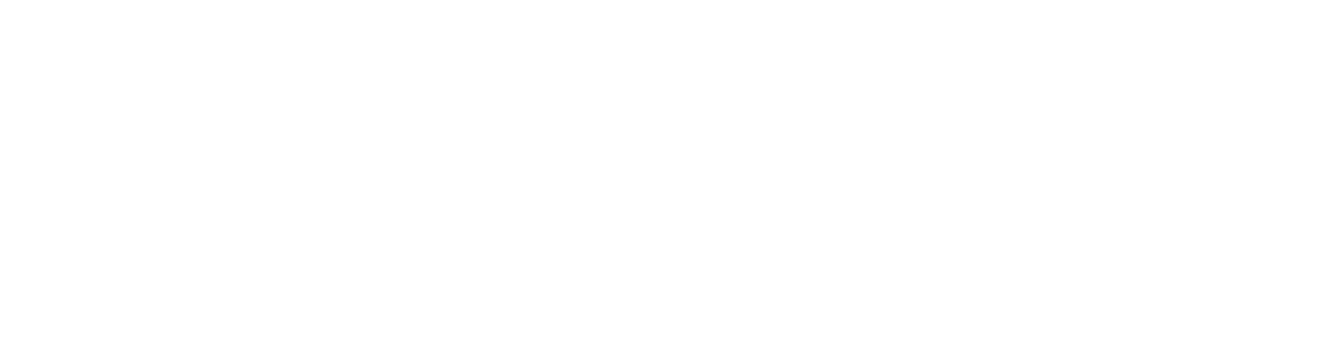 ICTS PROTIVITI